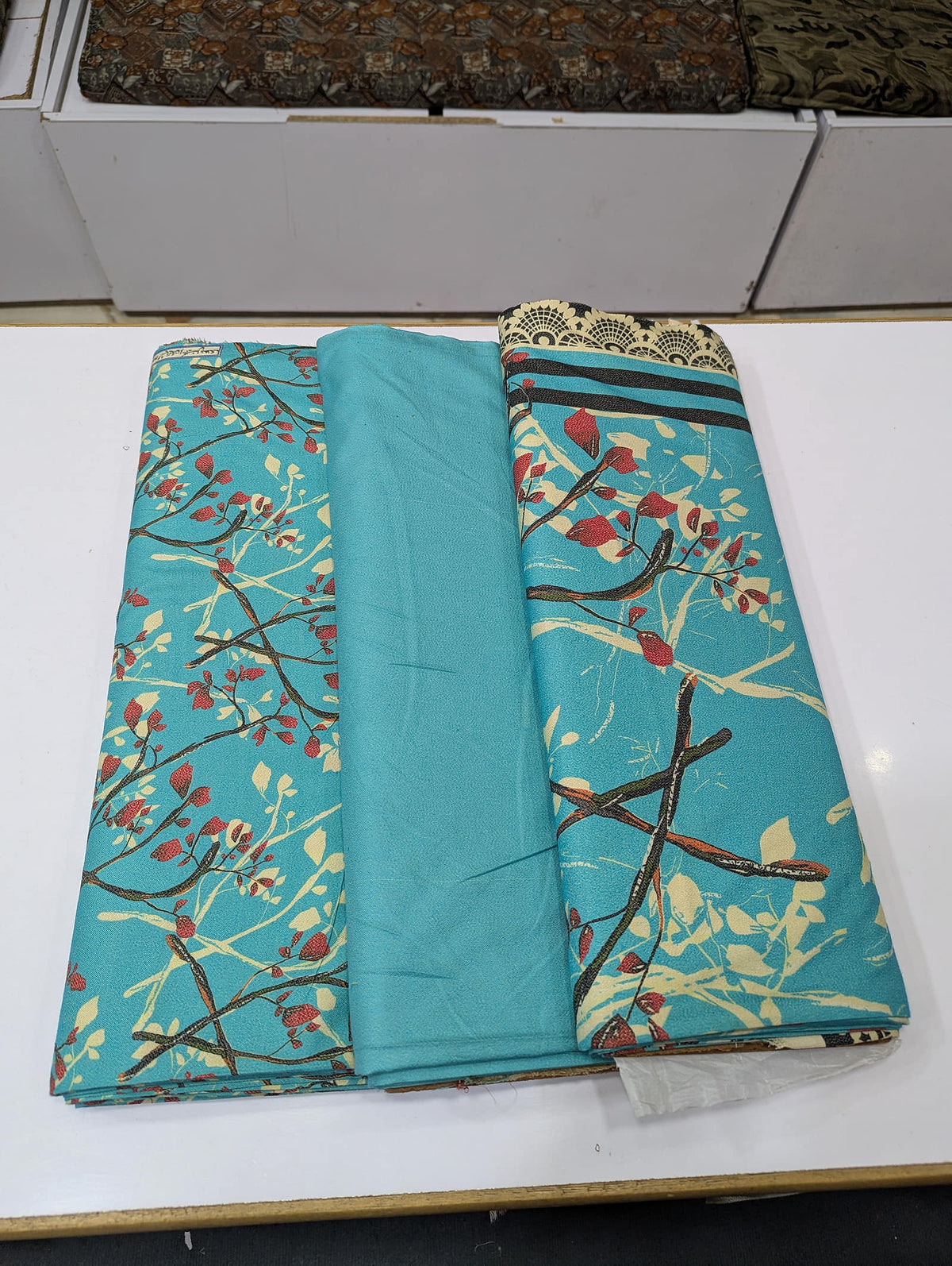 Five Star Premium Dhanak Printed 3 Piece Suit for Women | Winter Unstitched Collection - 024 - View 2