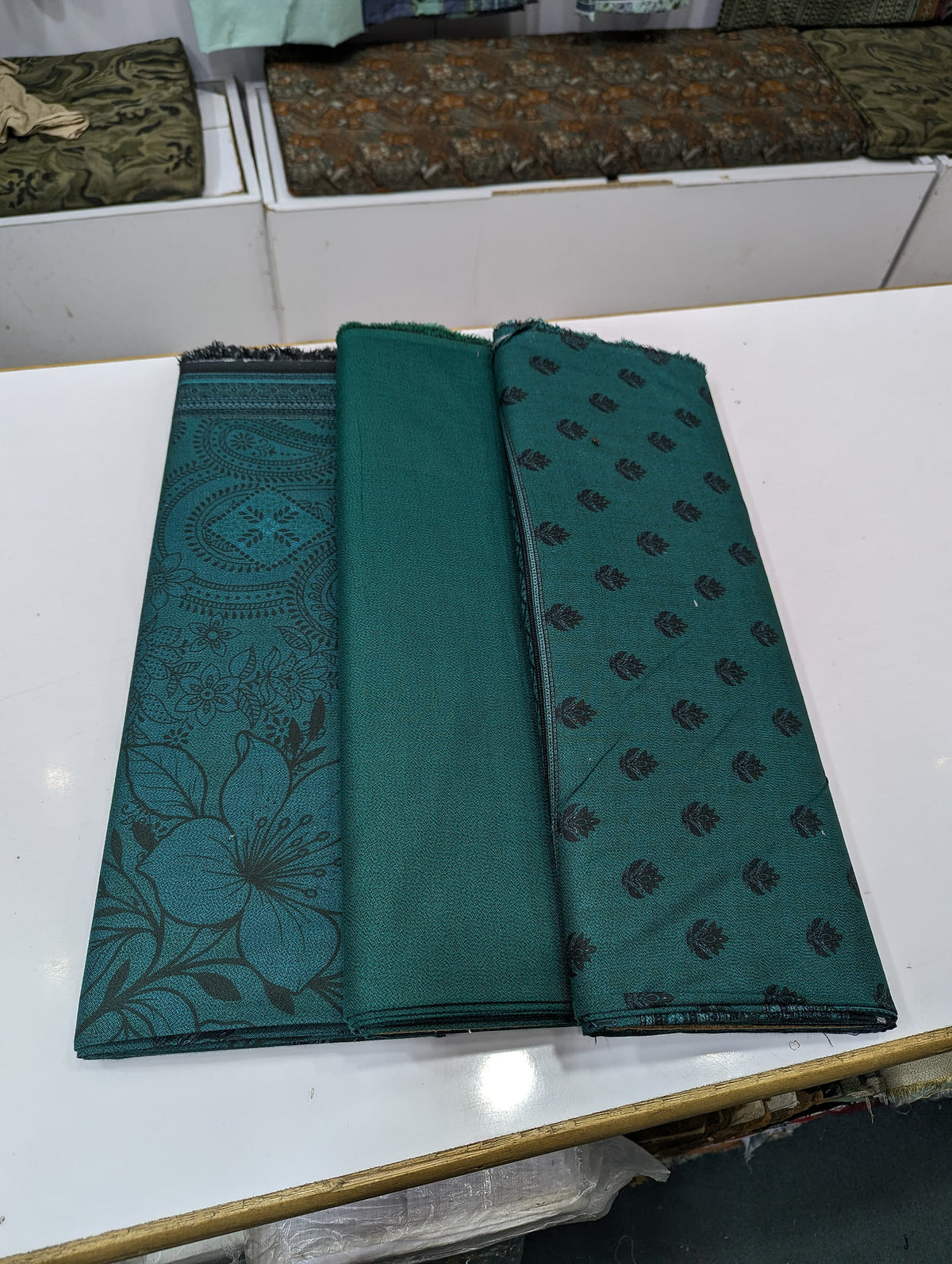 Five Star Premium Dhanak Printed 3 Piece Suit for Women | Winter Unstitched Collection - 027 - View 2
